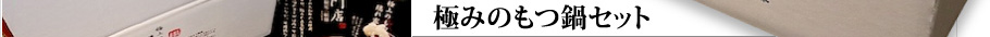 極みのもつ鍋セット